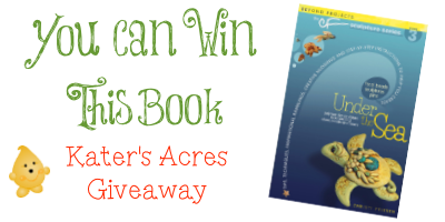 Polymer Clay Book Under the Sea by Christi Friesen - Projects, Review, & Giveaway on KatersAcres Blog